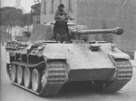 Panther D in Roma