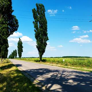 Traseu cu bicicleta langa Parcul Natural Comana - DN41 a fost surpriza traseului